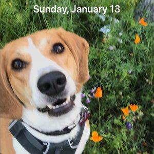 Meet your Posher, Barbara